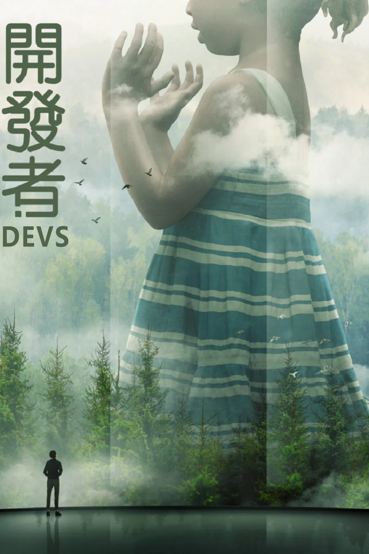 开发者