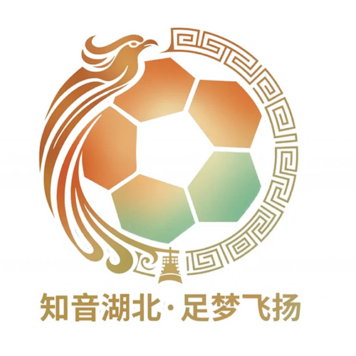 湖北省城市足球联赛 荆门金龙泉队VS潜江龙虾队20260613